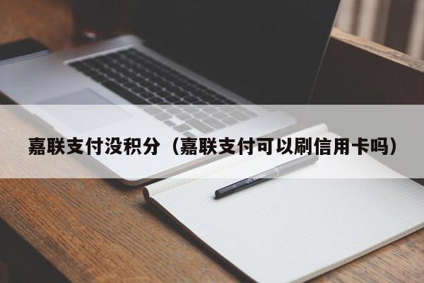嘉联支付没积分（嘉联支付可以刷信用卡吗）