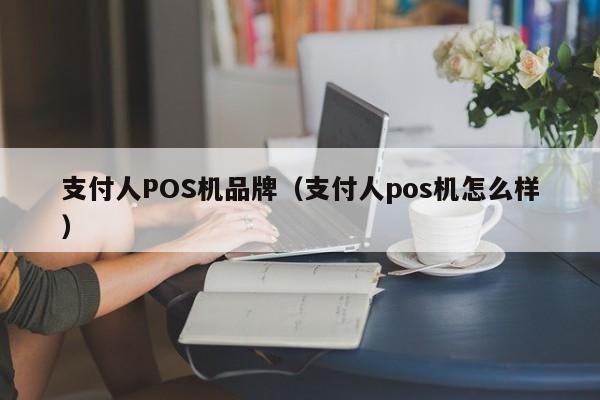 支付人POS机品牌（支付人pos机怎么样）