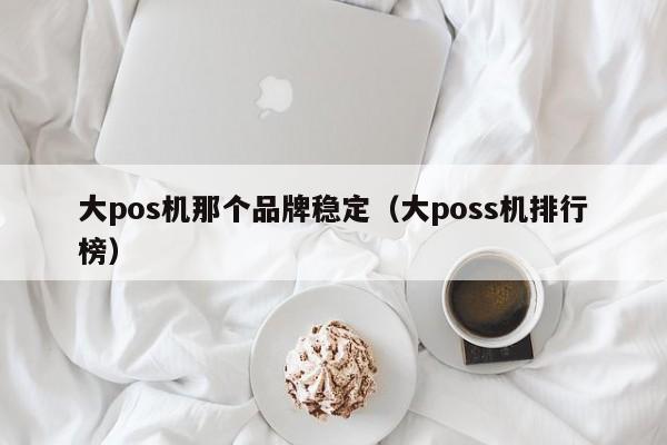 大pos机那个品牌稳定（大poss机排行榜）