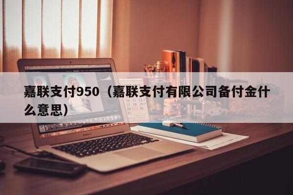 嘉联支付950（嘉联支付有限公司备付金什么意思）
