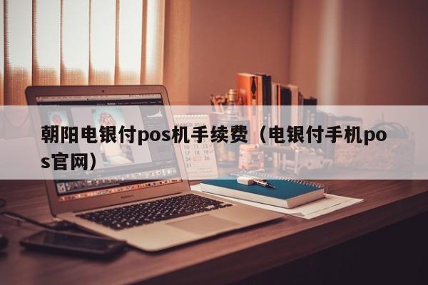 朝阳电银付pos机手续费（电银付手机pos官网）