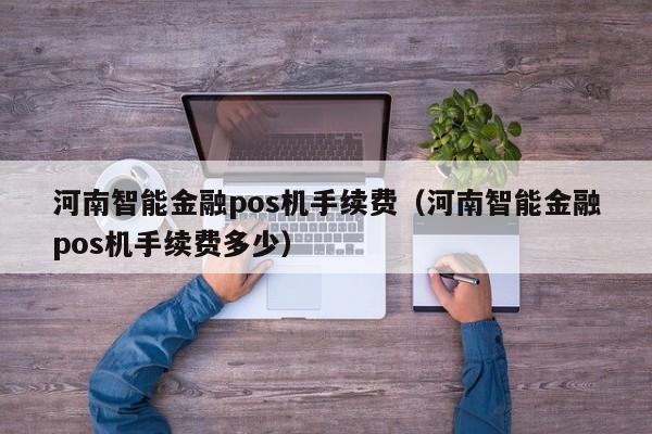 河南智能金融pos机手续费（河南智能金融pos机手续费多少）