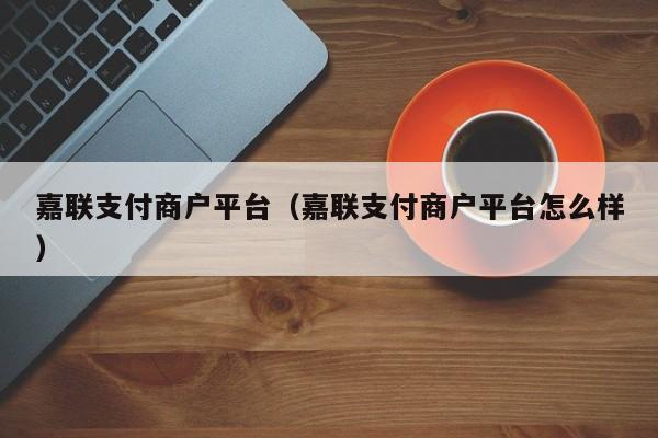 嘉联支付商户平台（嘉联支付商户平台怎么样）
