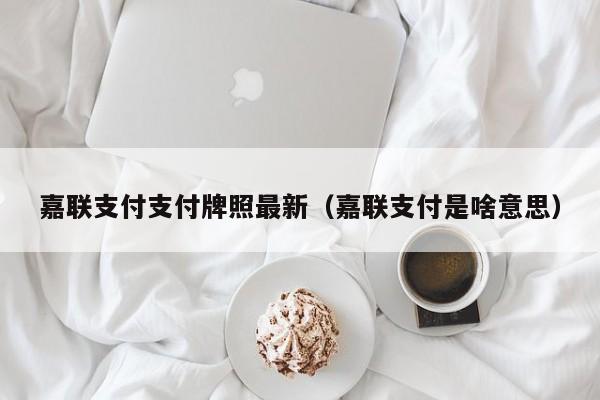 嘉联支付支付牌照最新（嘉联支付是啥意思）