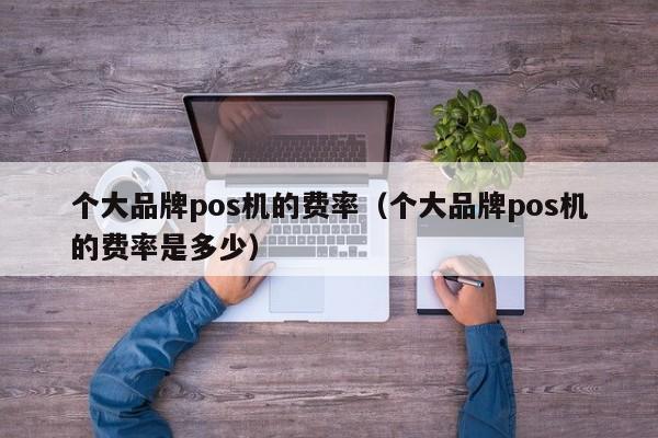 个大品牌pos机的费率（个大品牌pos机的费率是多少）