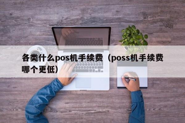 各类什么pos机手续费（poss机手续费哪个更低）