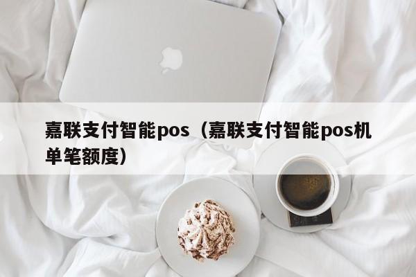 嘉联支付智能pos（嘉联支付智能pos机单笔额度）