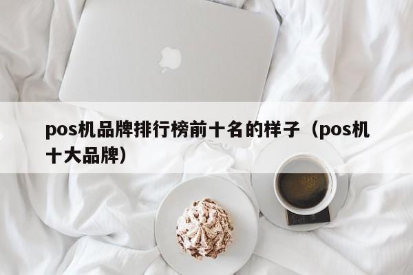 pos机品牌排行榜前十名的样子（pos机十大品牌）