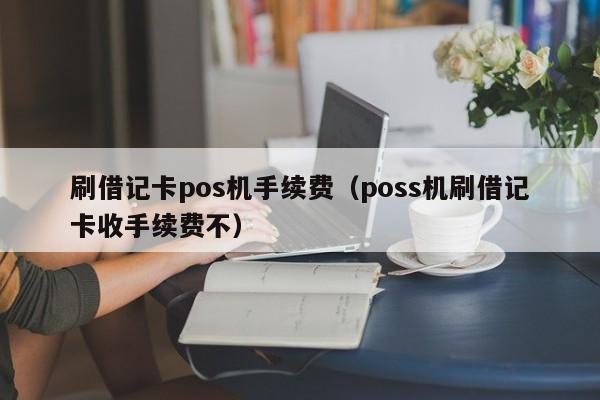 刷借记卡pos机手续费（poss机刷借记卡收手续费不）