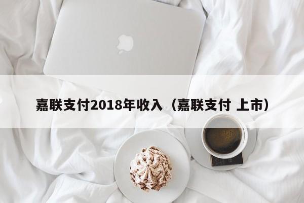 嘉联支付2018年收入（嘉联支付 上市）