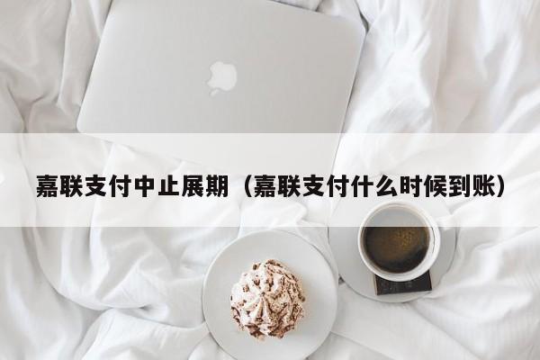 嘉联支付中止展期（嘉联支付什么时候到账）