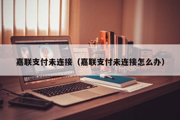 嘉联支付未连接（嘉联支付未连接怎么办）