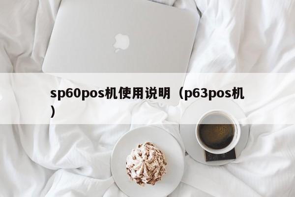sp60pos机使用说明（p63pos机）