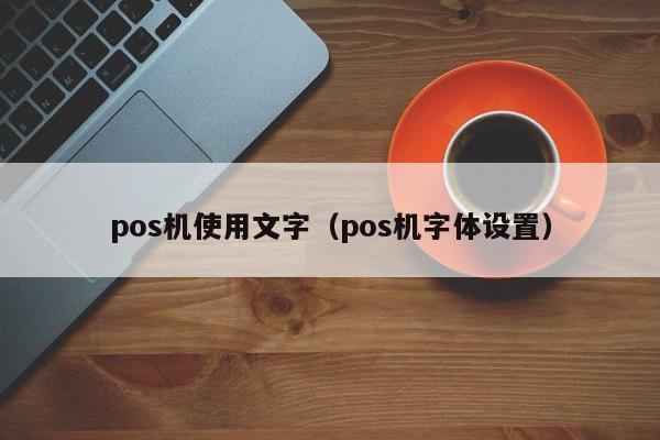 pos机使用文字（pos机字体设置）