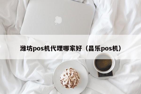 潍坊pos机代理哪家好（昌乐pos机）
