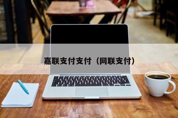嘉联支付支付（网联支付）