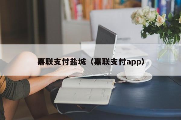嘉联支付盐城（嘉联支付app）