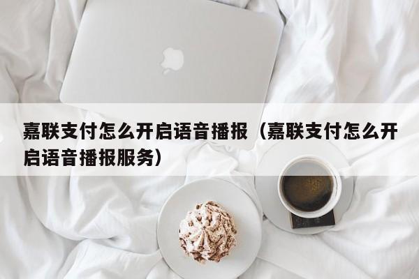 嘉联支付怎么开启语音播报（嘉联支付怎么开启语音播报服务）