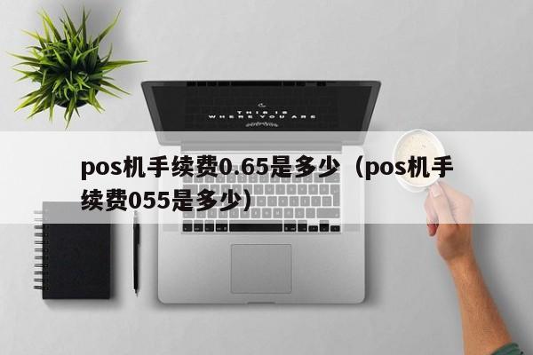 pos机手续费0.65是多少（pos机手续费055是多少）