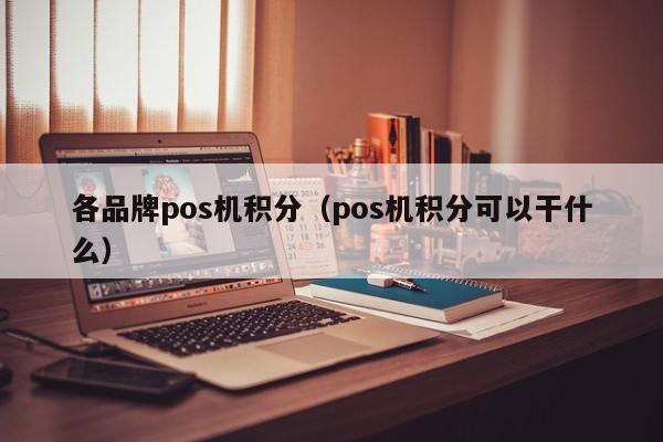 各品牌pos机积分（pos机积分可以干什么）