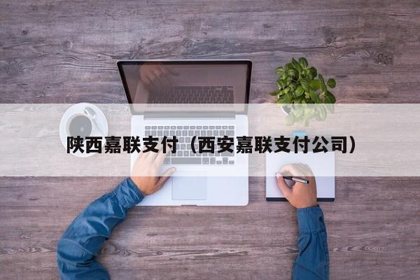 陕西嘉联支付（西安嘉联支付公司）