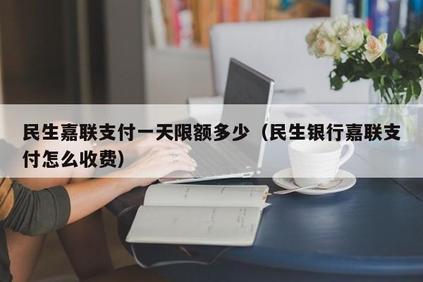 民生嘉联支付一天限额多少（民生银行嘉联支付怎么收费）