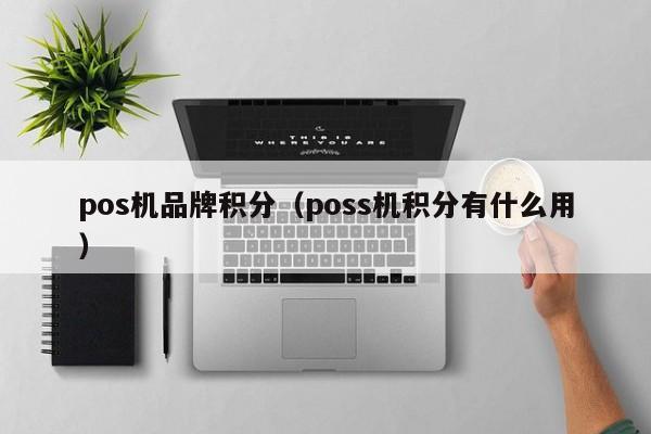 pos机品牌积分（poss机积分有什么用）