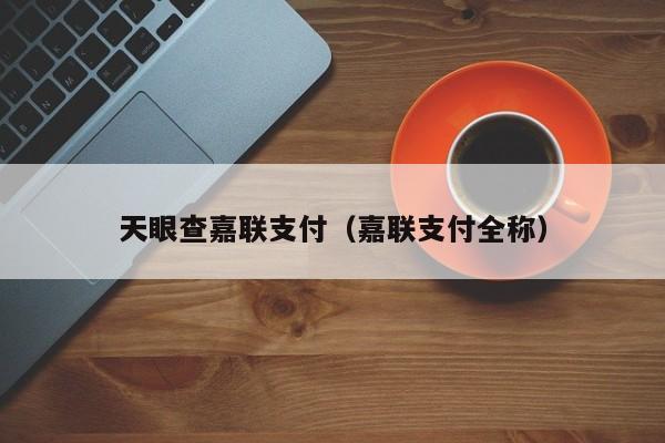 天眼查嘉联支付（嘉联支付全称）