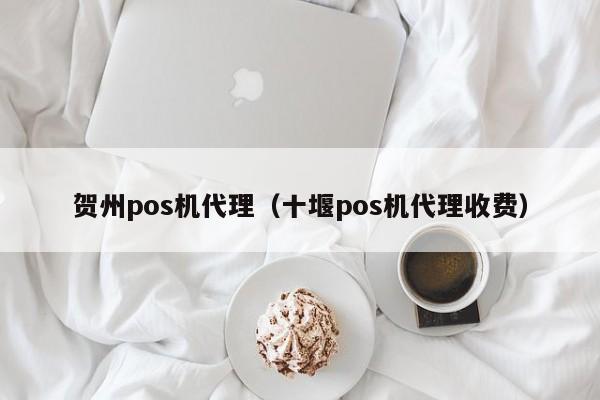 贺州pos机代理（十堰pos机代理收费）