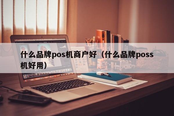 什么品牌pos机商户好（什么品牌poss机好用）
