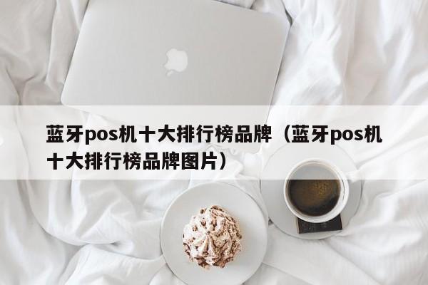 蓝牙pos机十大排行榜品牌（蓝牙pos机十大排行榜品牌图片）