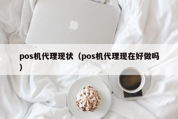 pos机代理现状（pos机代理现在好做吗）