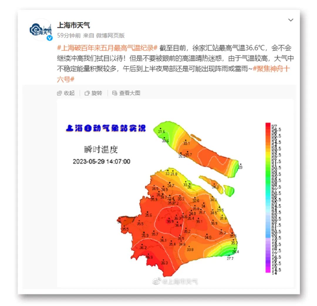 上海“热”上热搜！比亚迪回应“被举报”！千亿龙头闪崩，发生了什么