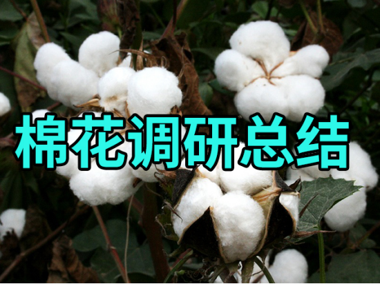 【中粮调研】棉花：调研总结